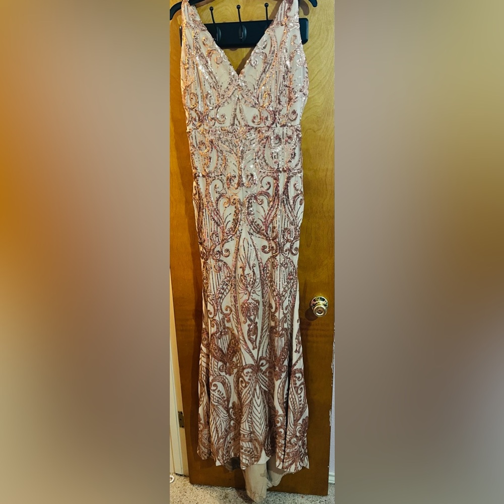Rose Gold Dress sz Lg